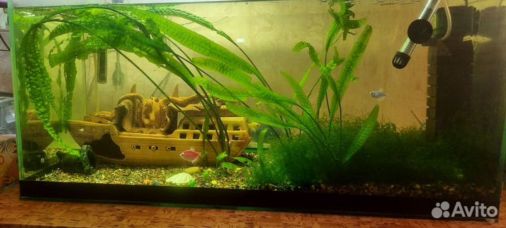 Аквариум