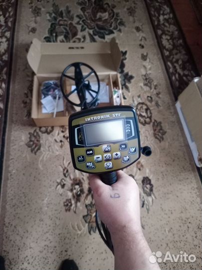 Ака интроник