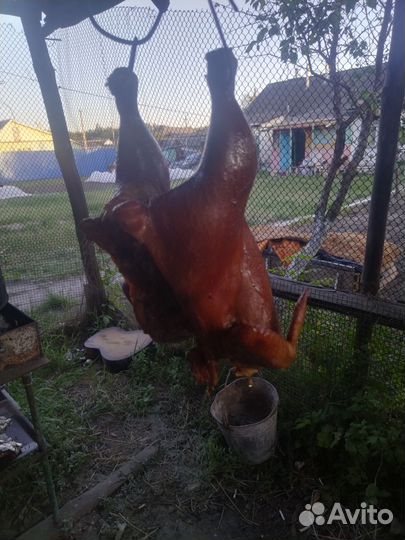 Домашнее копчение