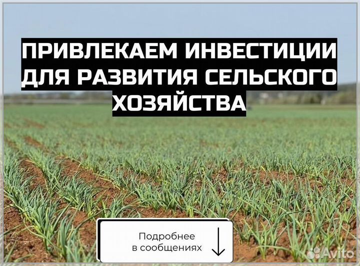 Поиск инвестора пассивный доход