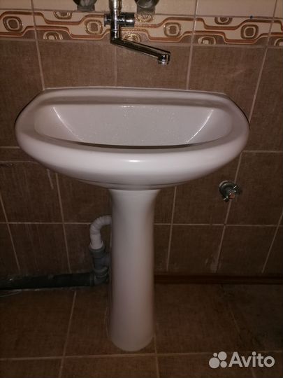 Раковина тюльпан