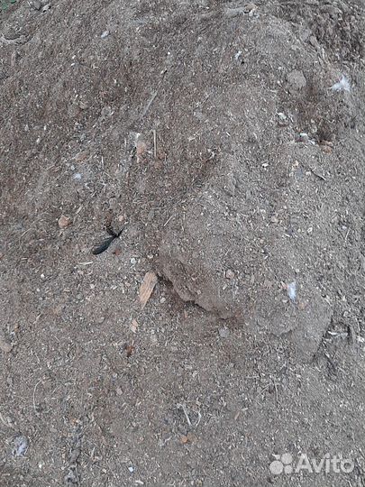 Навоз (помет куриный) в мешках