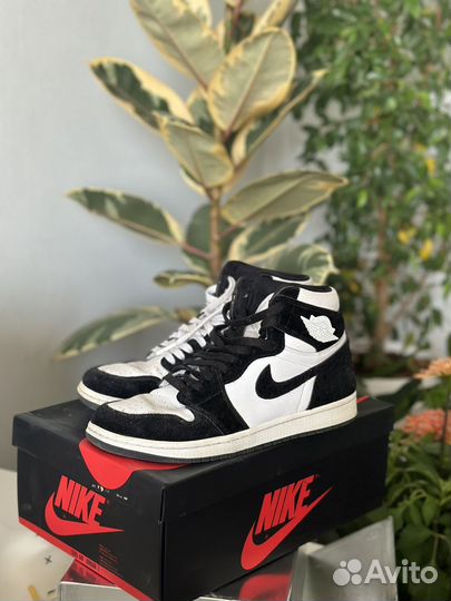 Nike air jordan panda
