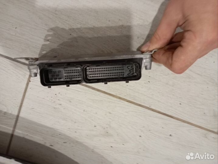 Эбу на заз шанс 1,3