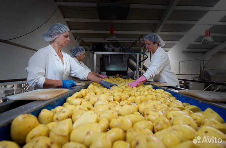 Упаковщик вахта Тула