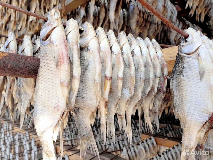 Икра воблы из Астрахани