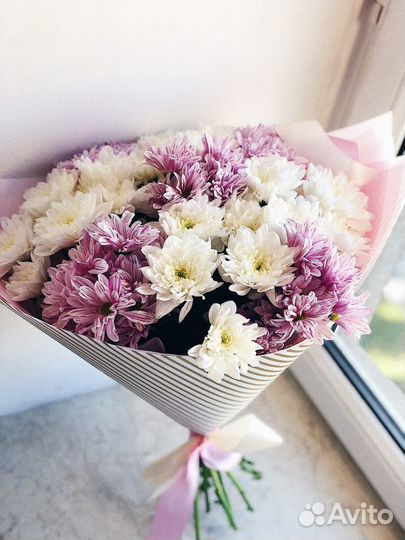 Букет сиреневых хризантем
