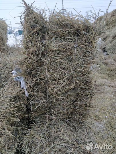 Сено в тюках