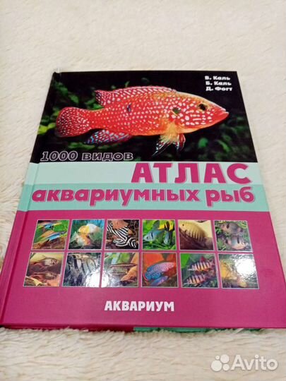 Книга Атлас рыб