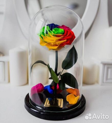 Розы в колбе на выбор