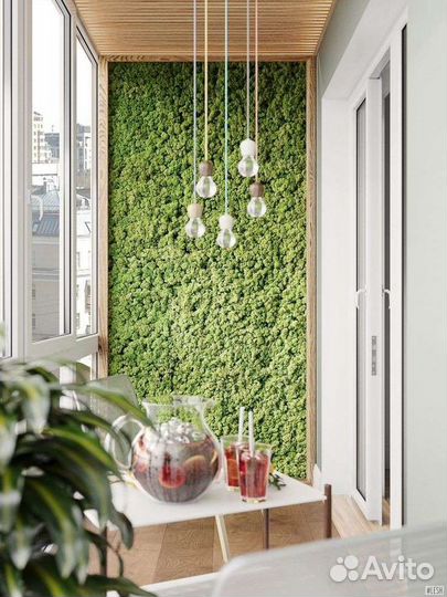 Стабилизированный мох ягель