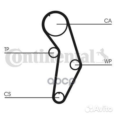 Водяной насос + комплект зубчатого ремня CT908WP1