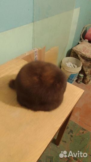 Соболиная шапка