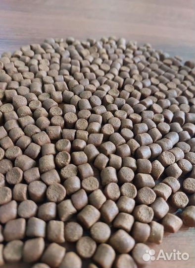 Корм для рыб форель осетр карп