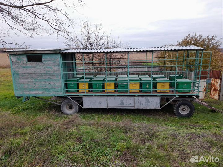 Пчелоповильен