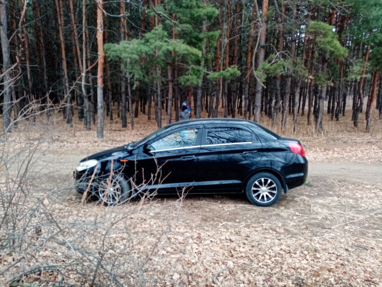 Chery Bonus (A13): фото владельца