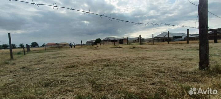 Косим траву