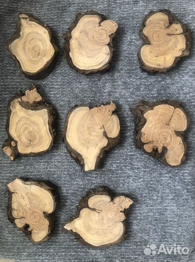 Спил облепихи