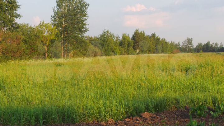 Участок 6 сот. (СНТ, ДНП)