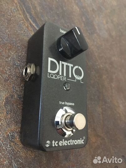 Ditto Looper Tc Electronic