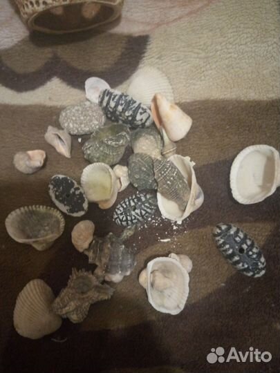 Украшения декорное для аквариума