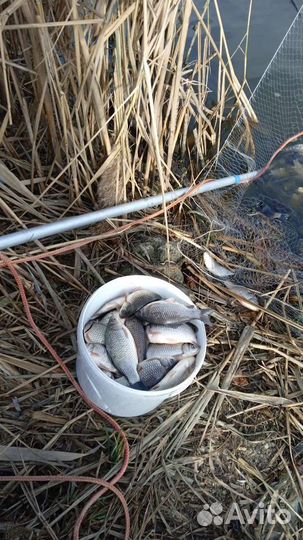 Рыбалка и отдых