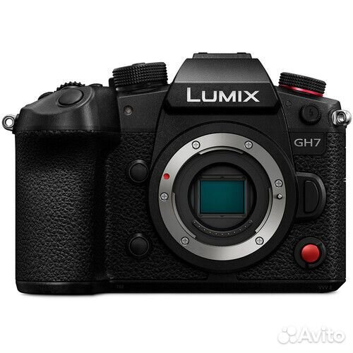 Panasonic Lumix GH7 body