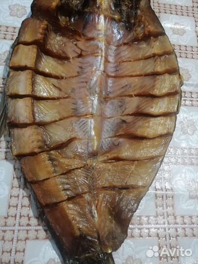 Холодное копчение рыбы