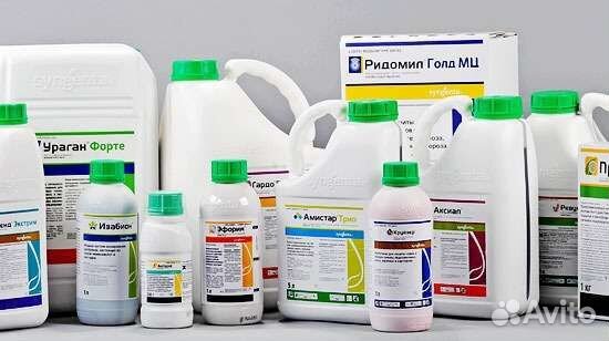 Семена и Средства защиты растений