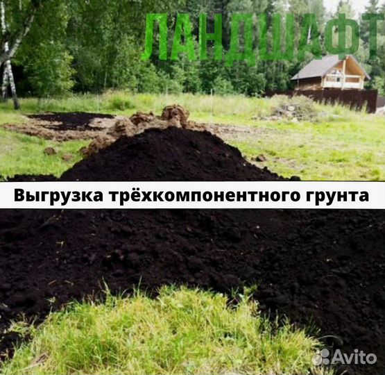 Парковый рулонный газон Павловский посад