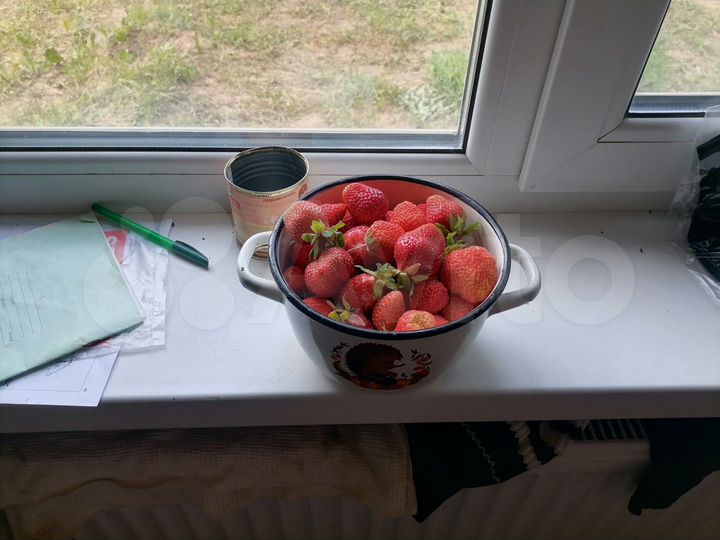 Дом 65 м² на участке 44 сот.