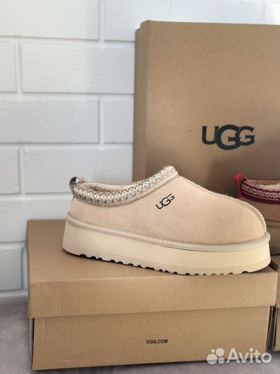 Угги Ugg tazz tasman