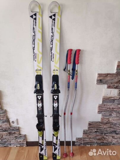 Горные лыжи fischer