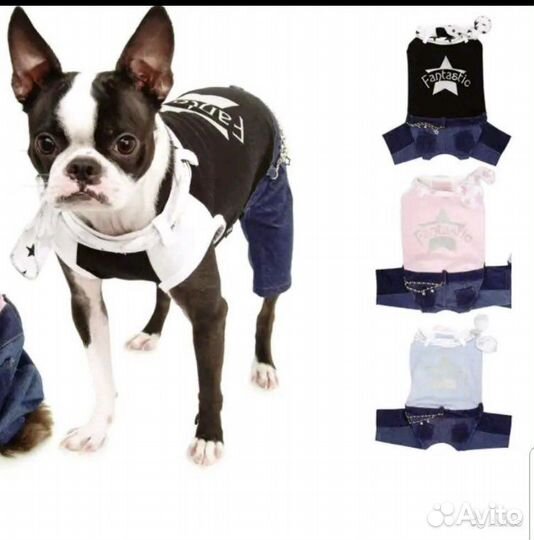 Переноска, PA, свитер, щетка, шапка, комбинезон