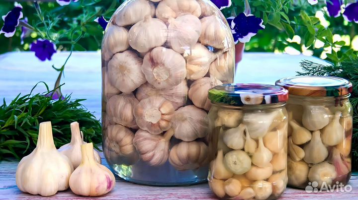 Маринованный чеснок головками и дольками