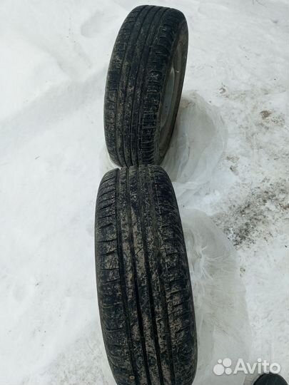 Accelera 651 Sport 175/75 R14 22H