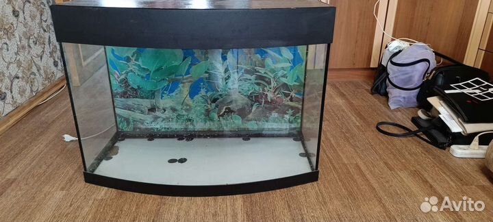 Аквариум