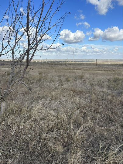 Участок 10 га (СНТ, ДНП)