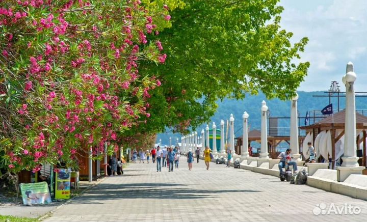 Турпутевка Абхазия 7 ночей