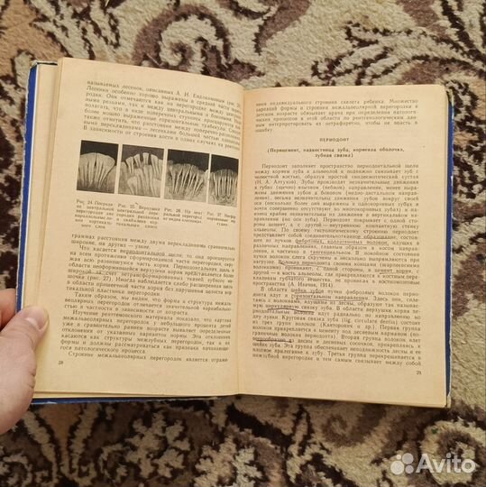 1) Пародонтоз. 2) Основы науч.план. стом. помощи