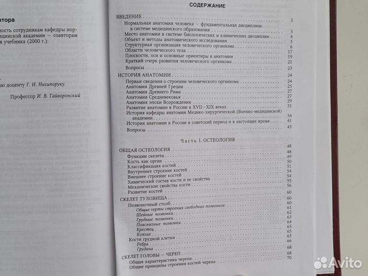 Анатомия человека