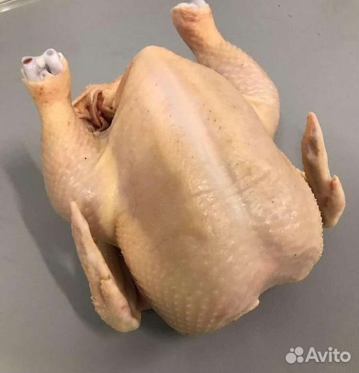 Мясо домашнего бройлера