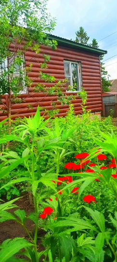 Дом 101,4 м² на участке 12 сот.