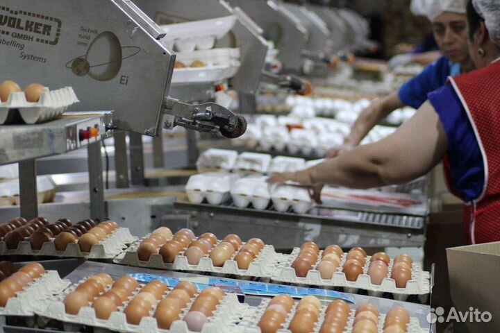 Работа на птицефабрике, гибкий график Челябинск