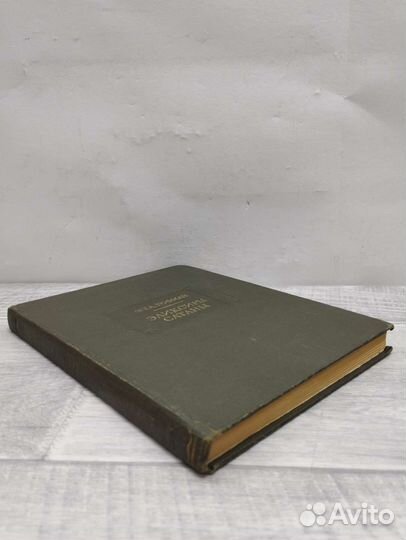 Э.Т.А.Гофман. Эликсиры. Сатаны