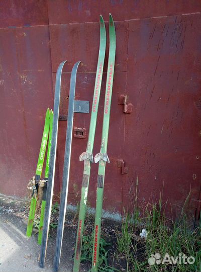 Беговые лыжи