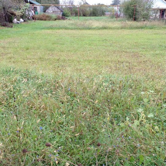 Участок 8 сот. (ИЖС)