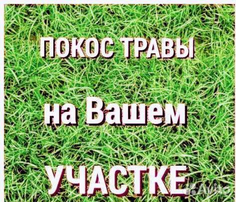 Покос травы