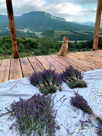 Травы для чая