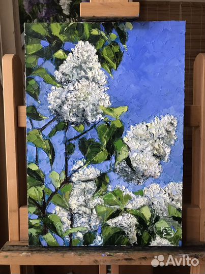 Картина маслом. Белая сирень. 50х35